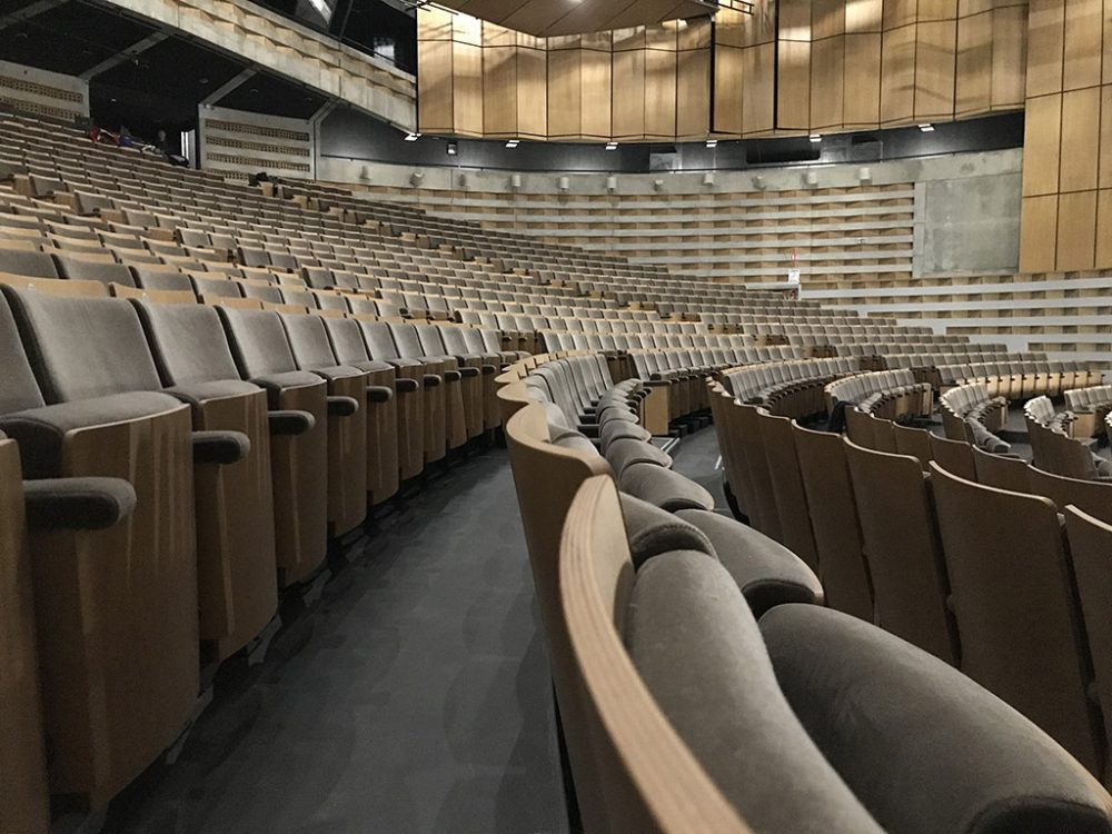 Espace Malraux Chambery galeria (6)